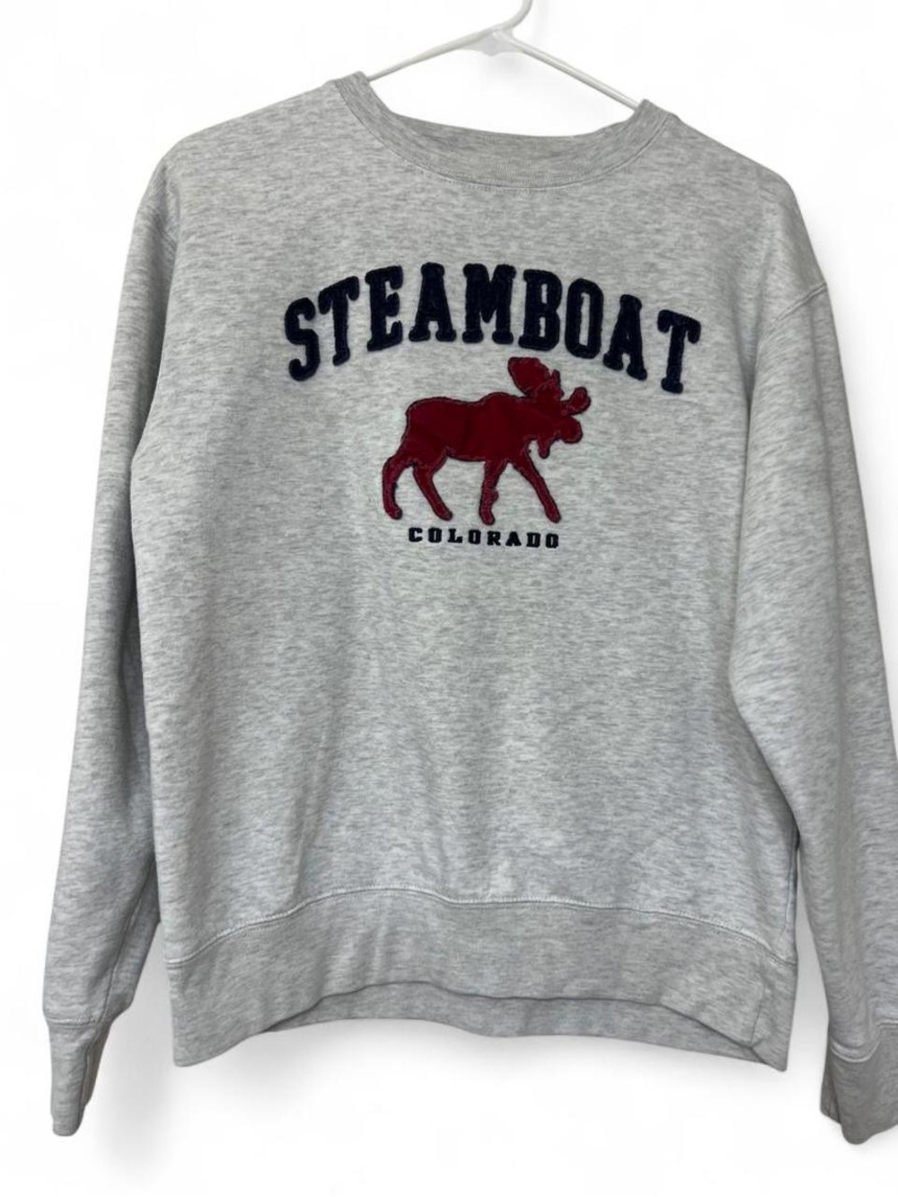 Gray Steamboat Colorado moose crewneck sweatshirt Y2K souvenir mountains lounge